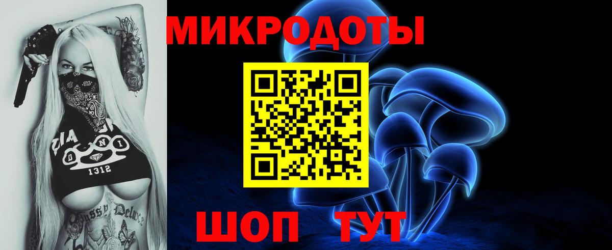 Дивногорск  Галлюциногенные грибы мицелий  Галлюциногенные грибы Psilocybe  Вход с VPN 